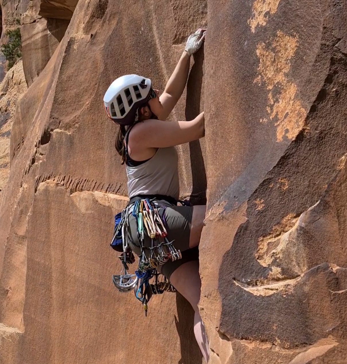 Meets Secretary - Sarah Dixon